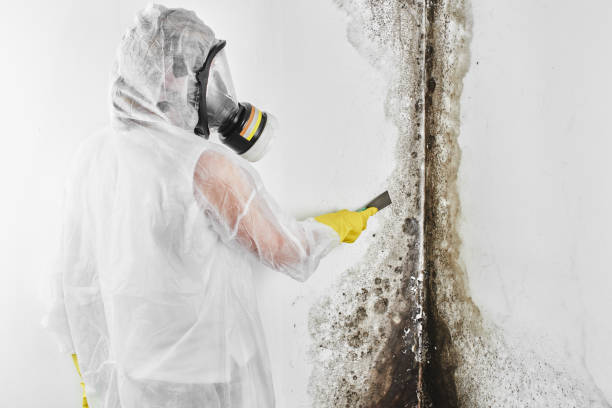 Best Mold Testing  in Lebanon, NH